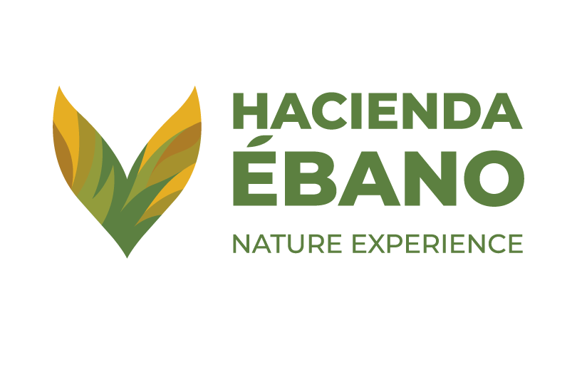 Hacienda Ébano Hacienda Ébano logo