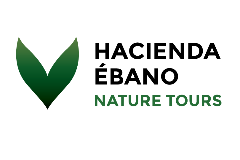 Hacienda Ébano logo