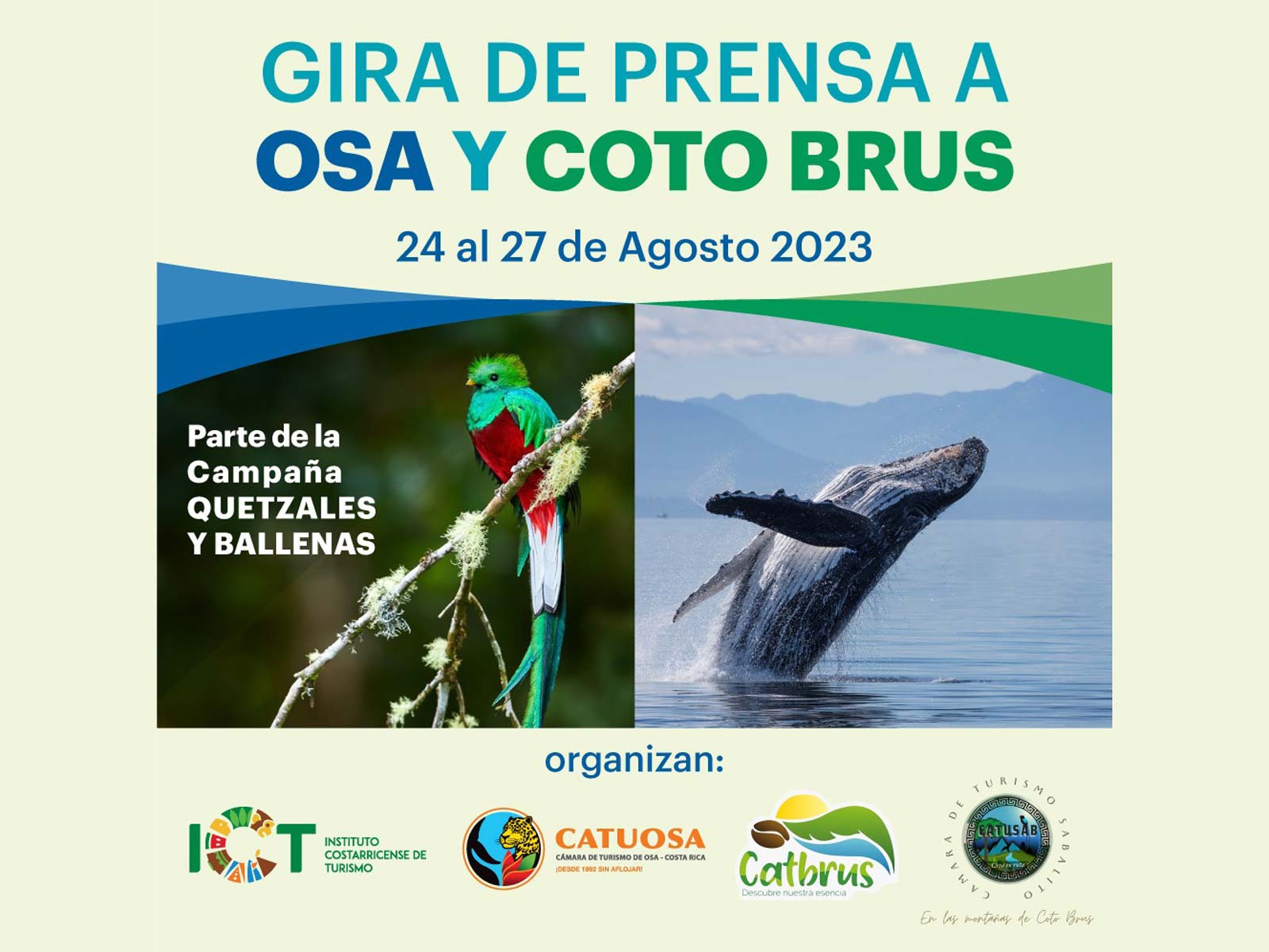 Quetzales y Ballenas, Convenio entre Destinos, Osa y Coto Brus