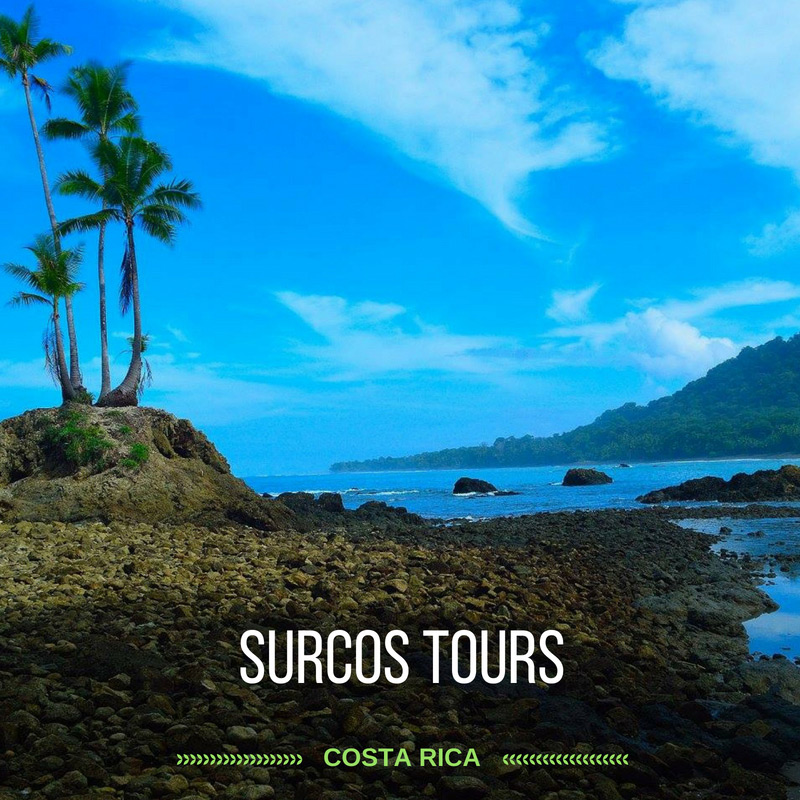 Surcos Tours, Receptive Tourism Operator, Puerto Jiménez